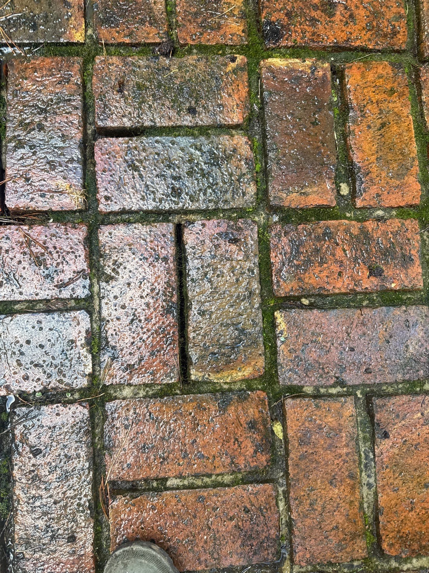 Roof - Driveway - Patio Clean using 18inch Whirlaway FSC by Ges Exterior Cleaning ltd