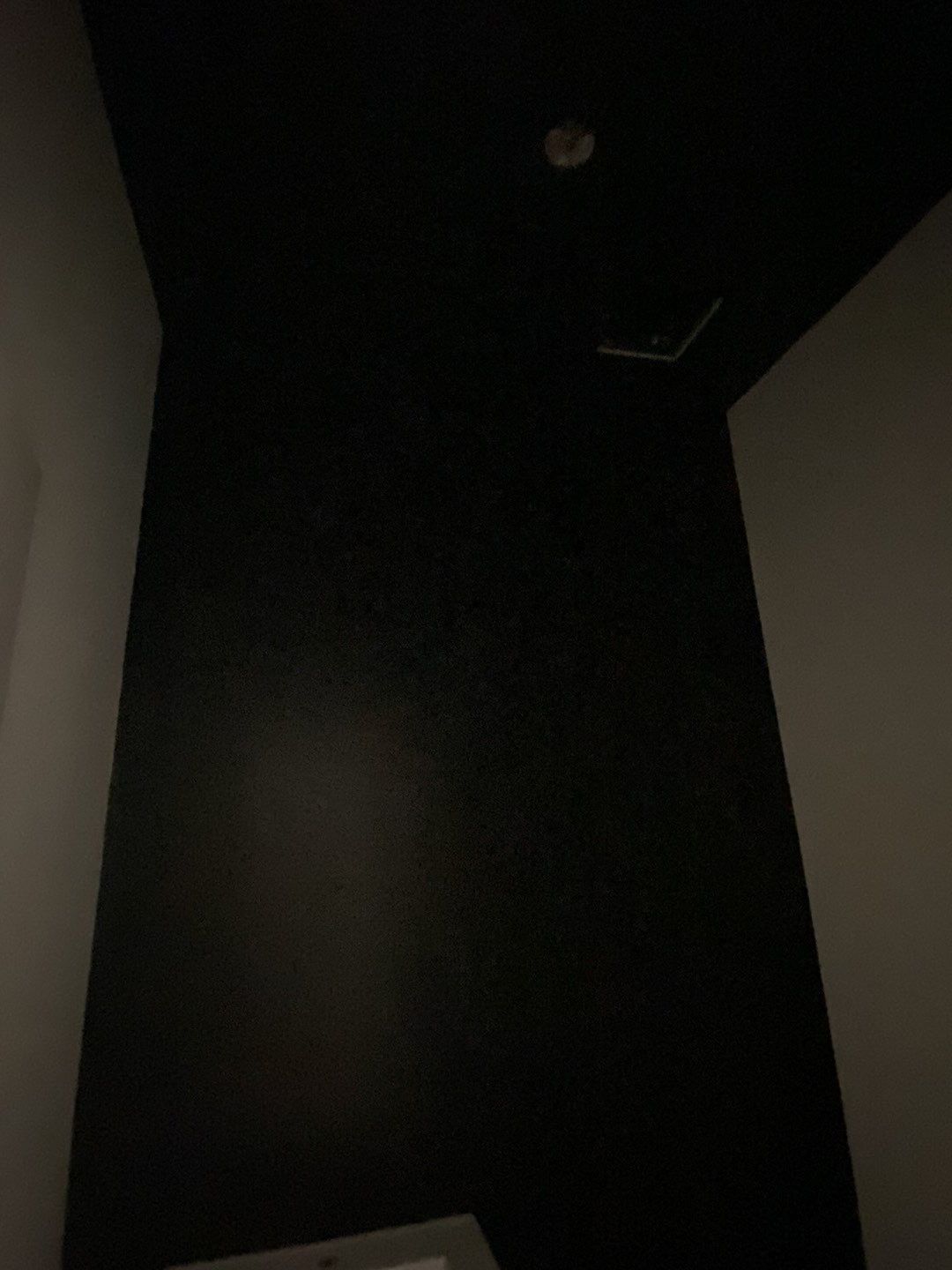 Interior Painting using Snowbound White  by EXCELLENCE | CARTO