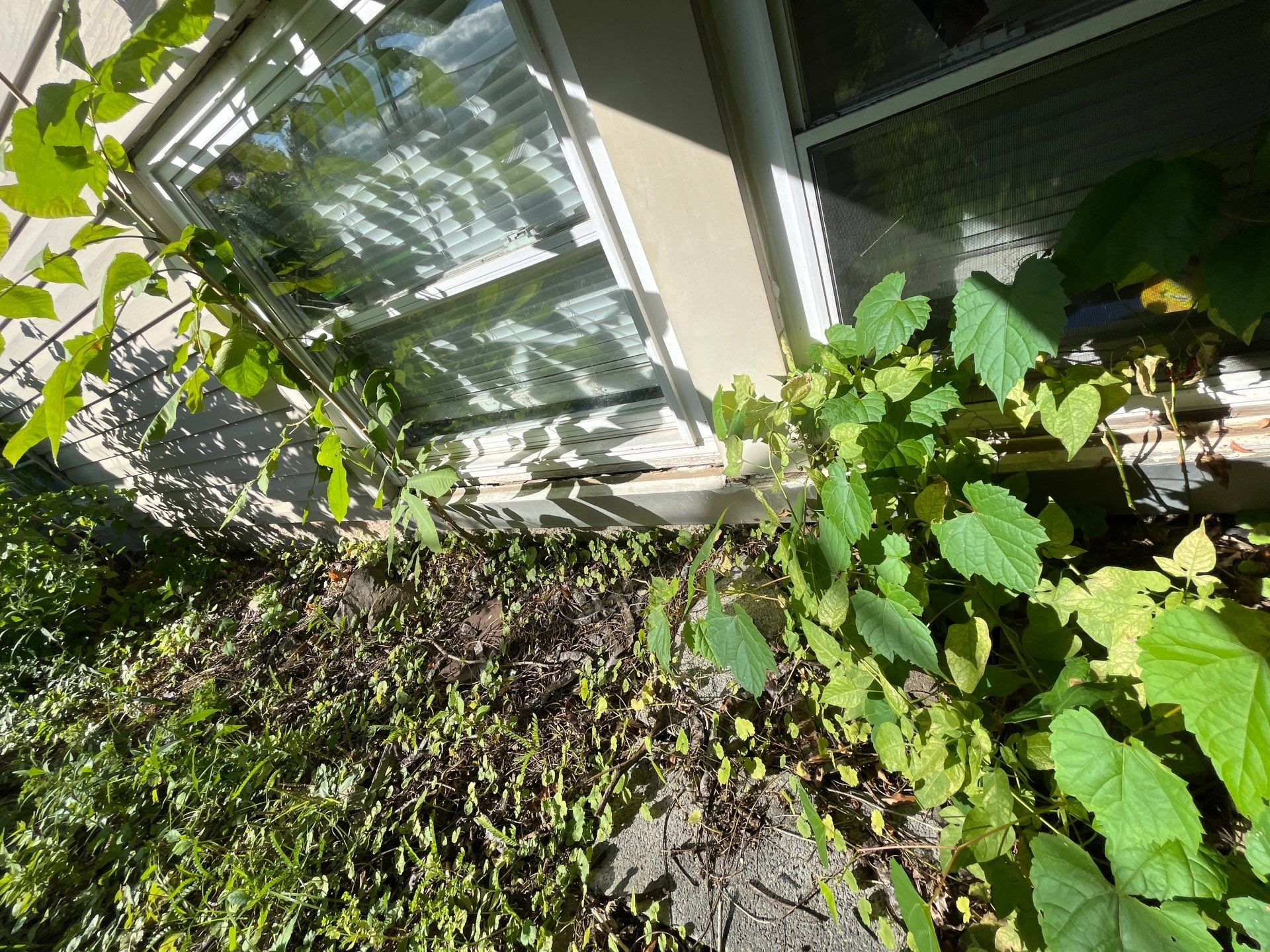 Inspección  by Mike home improvements 