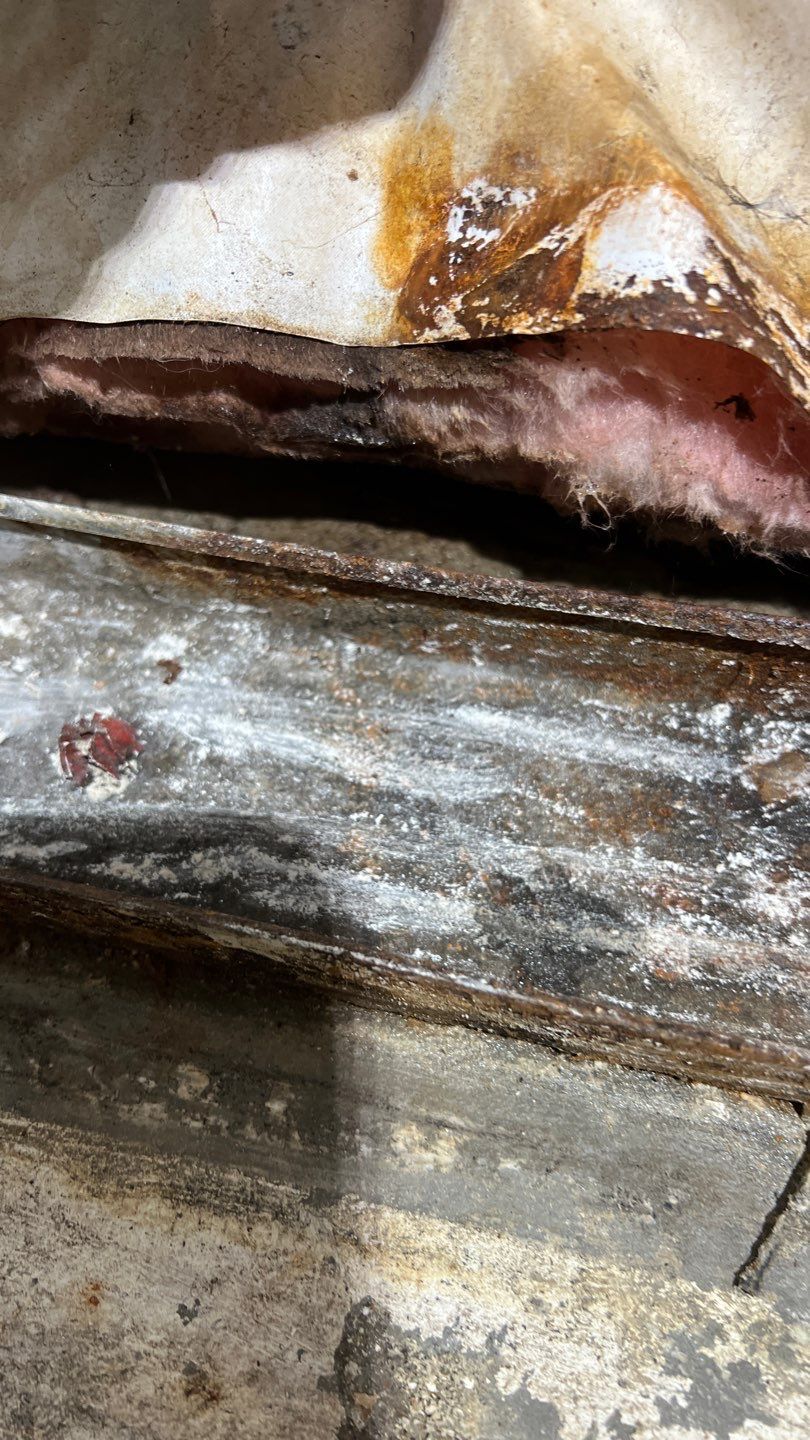 Mold Remediation by Accountable Home Services