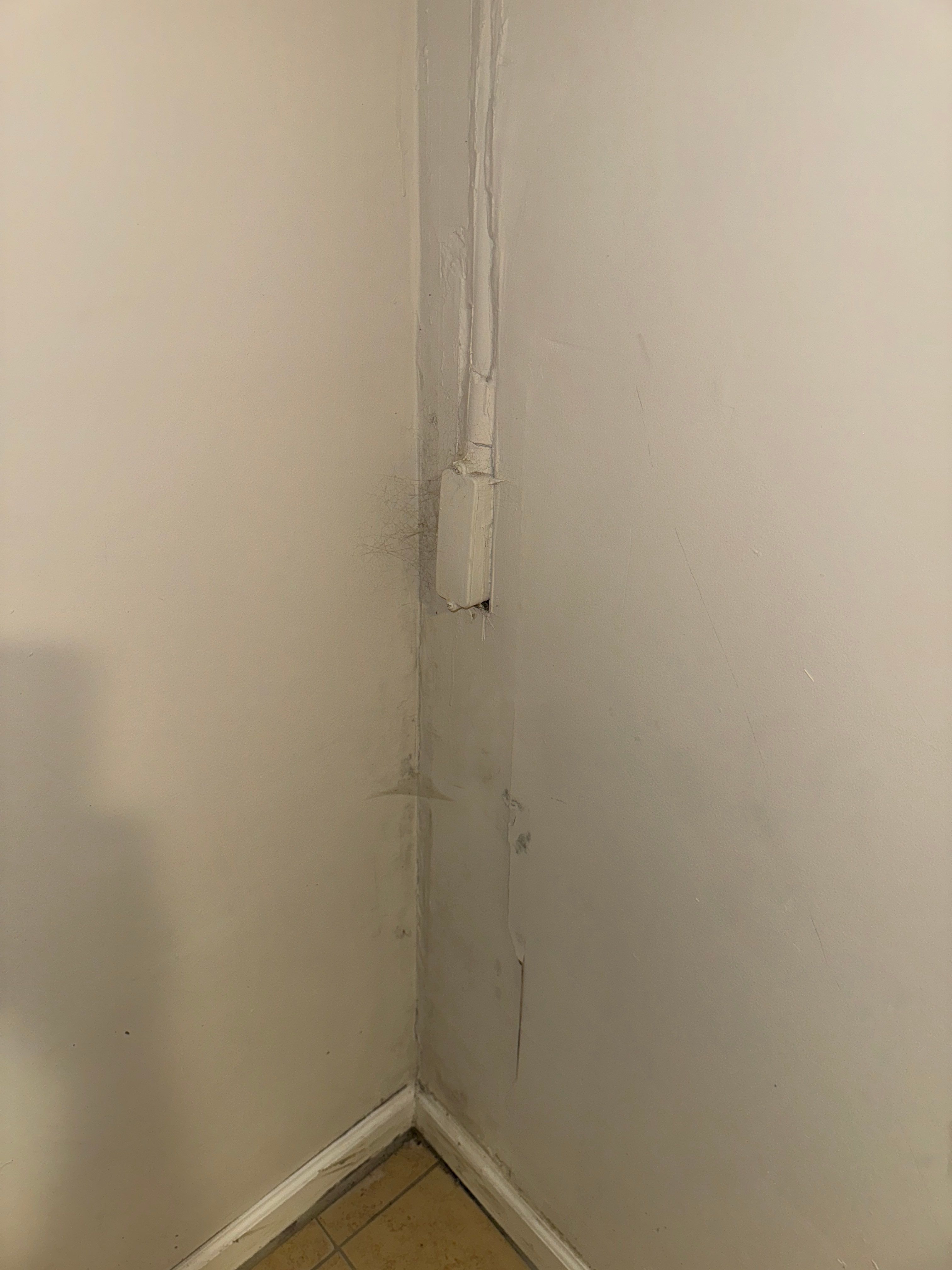 Interior French Drain Newton NJ by Pure Service Pro, LLC 