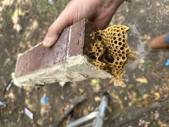 Between Floors by Rockwall Honey Bee Company