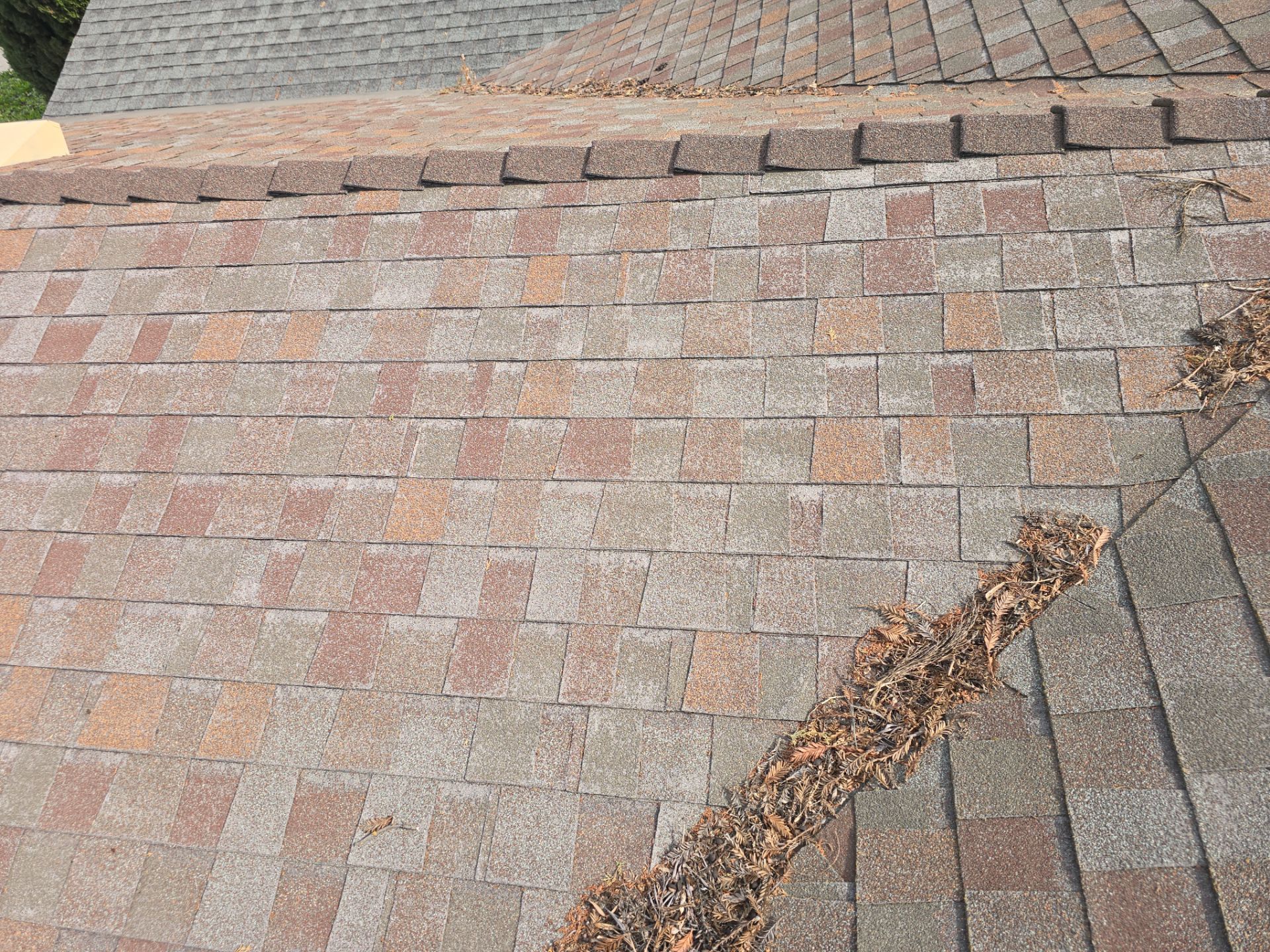 Roof Rejuvenation using Roof Maxx Treatment by Roof Maxx of Folsom