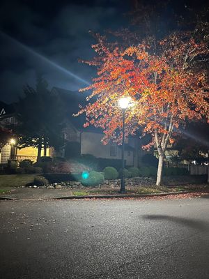Project in Renton