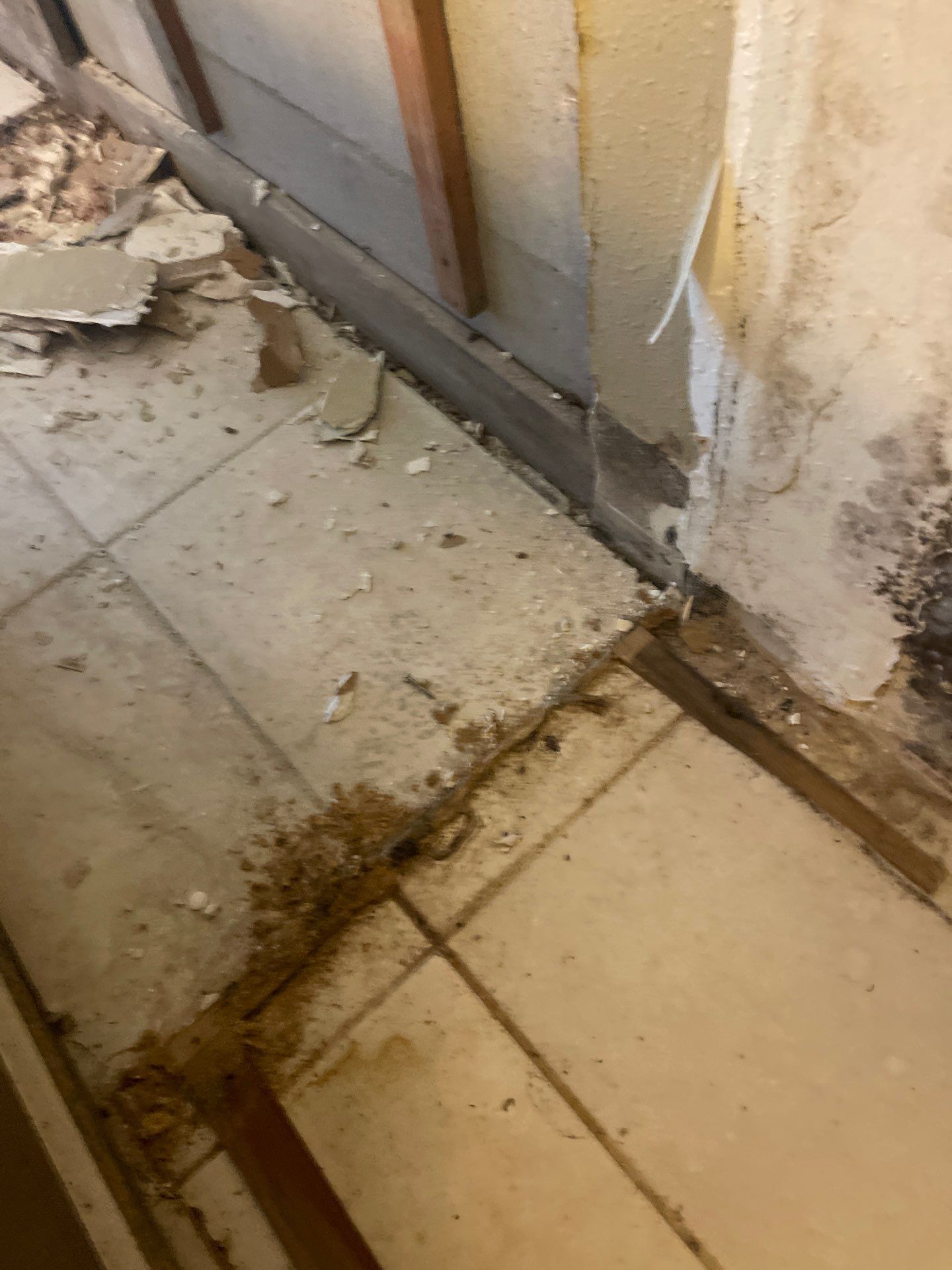 Mold remediation and rebuild of kitchen and living areas by Bay Coast Restoration 