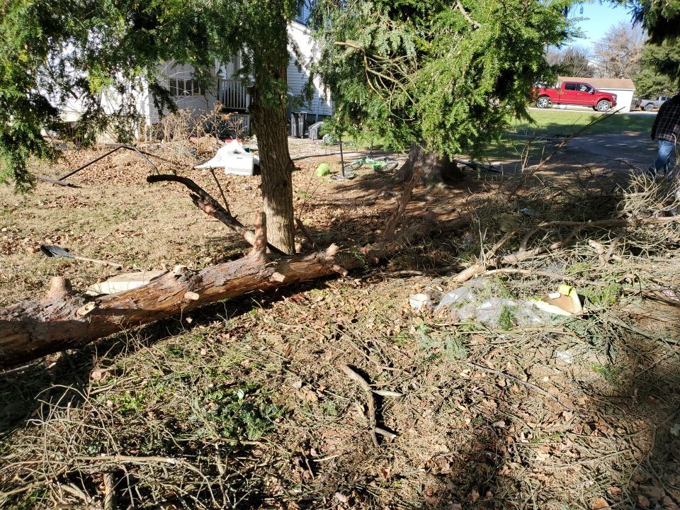 Storm Damaged Tree Removal  using Tree Removal by Mike Jones & Sons Tree Service LLC 
