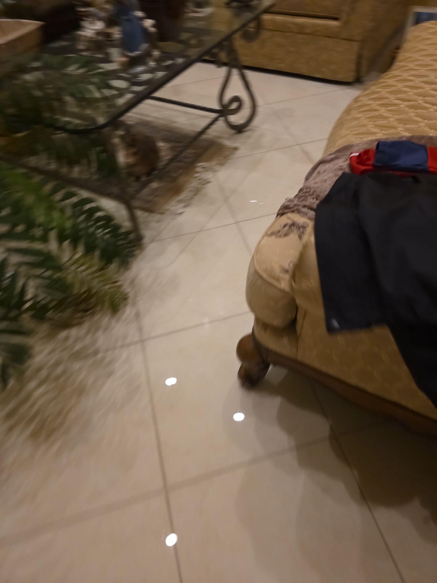 Water Damage  by SuperClean 