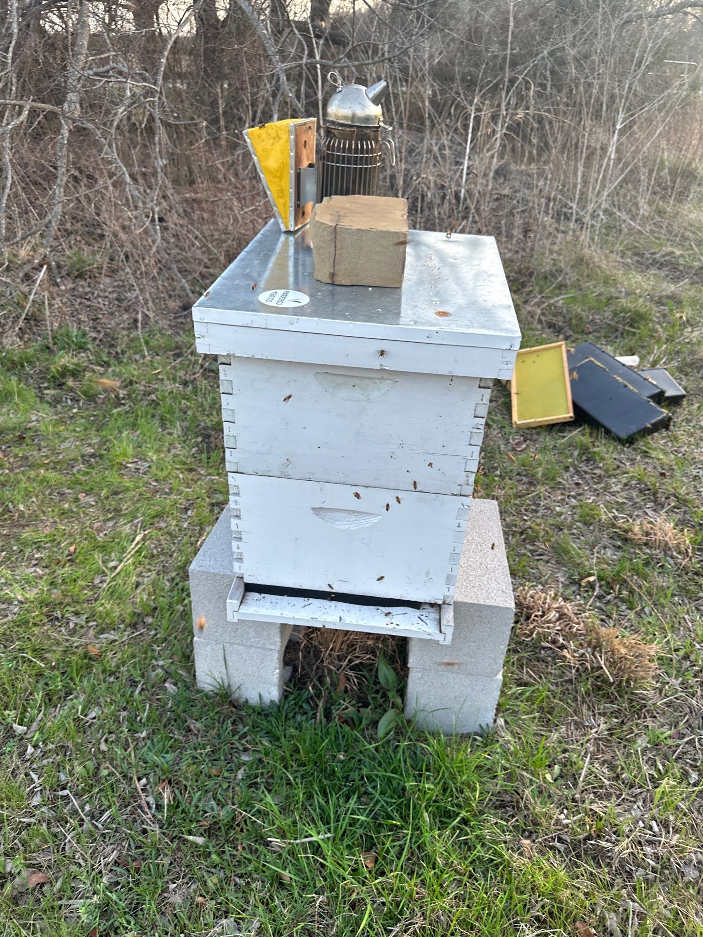 Honey-Maker Apiary in Greenville by Rockwall Honey Bee Company