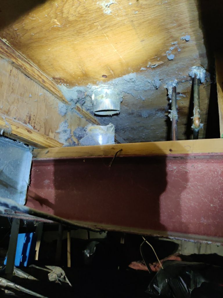 Crawl Space Cleanup  by Accountable Home Services