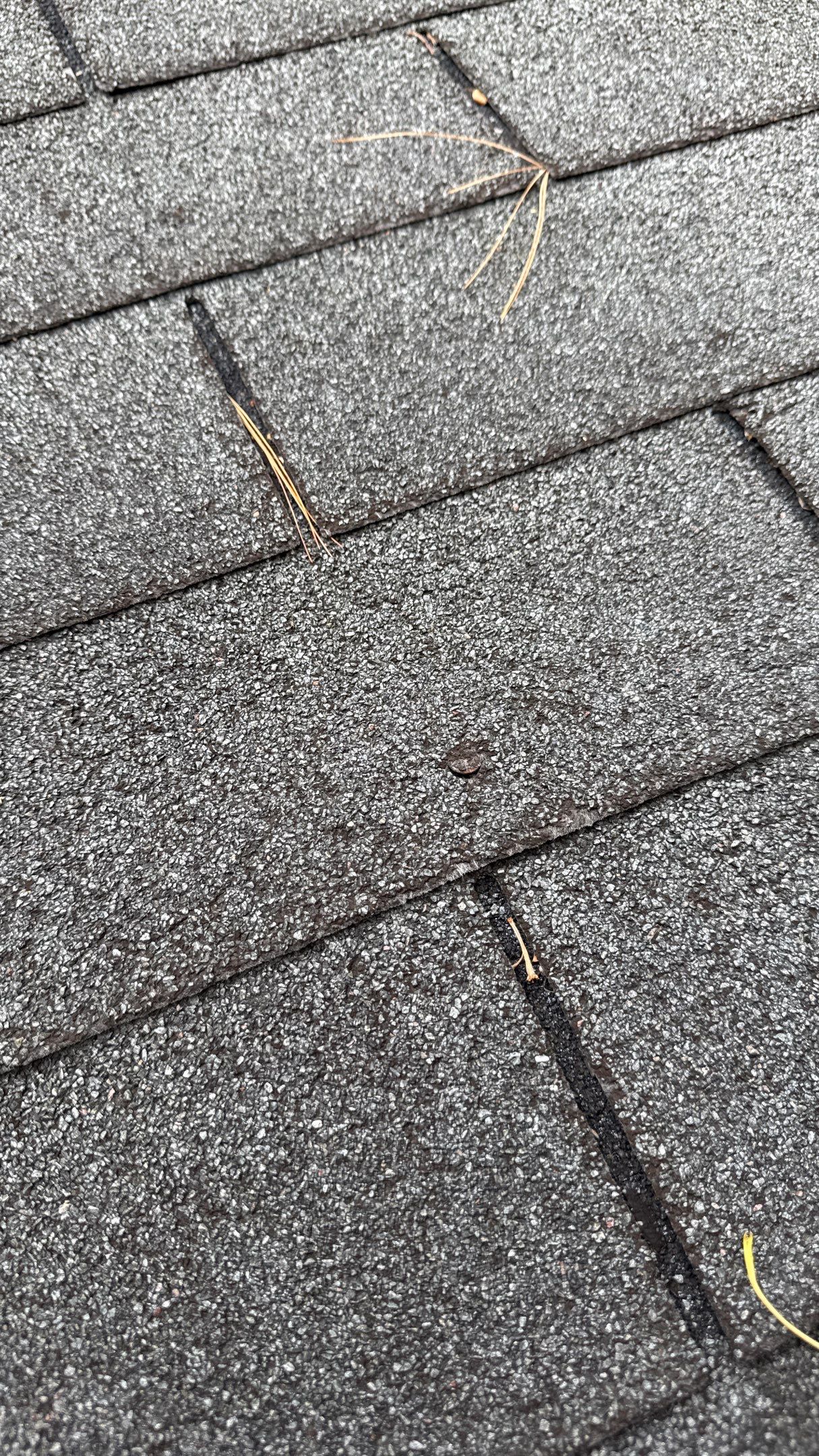 Roof Replacement using Owens Corning Onyx Black by 180 Contractors