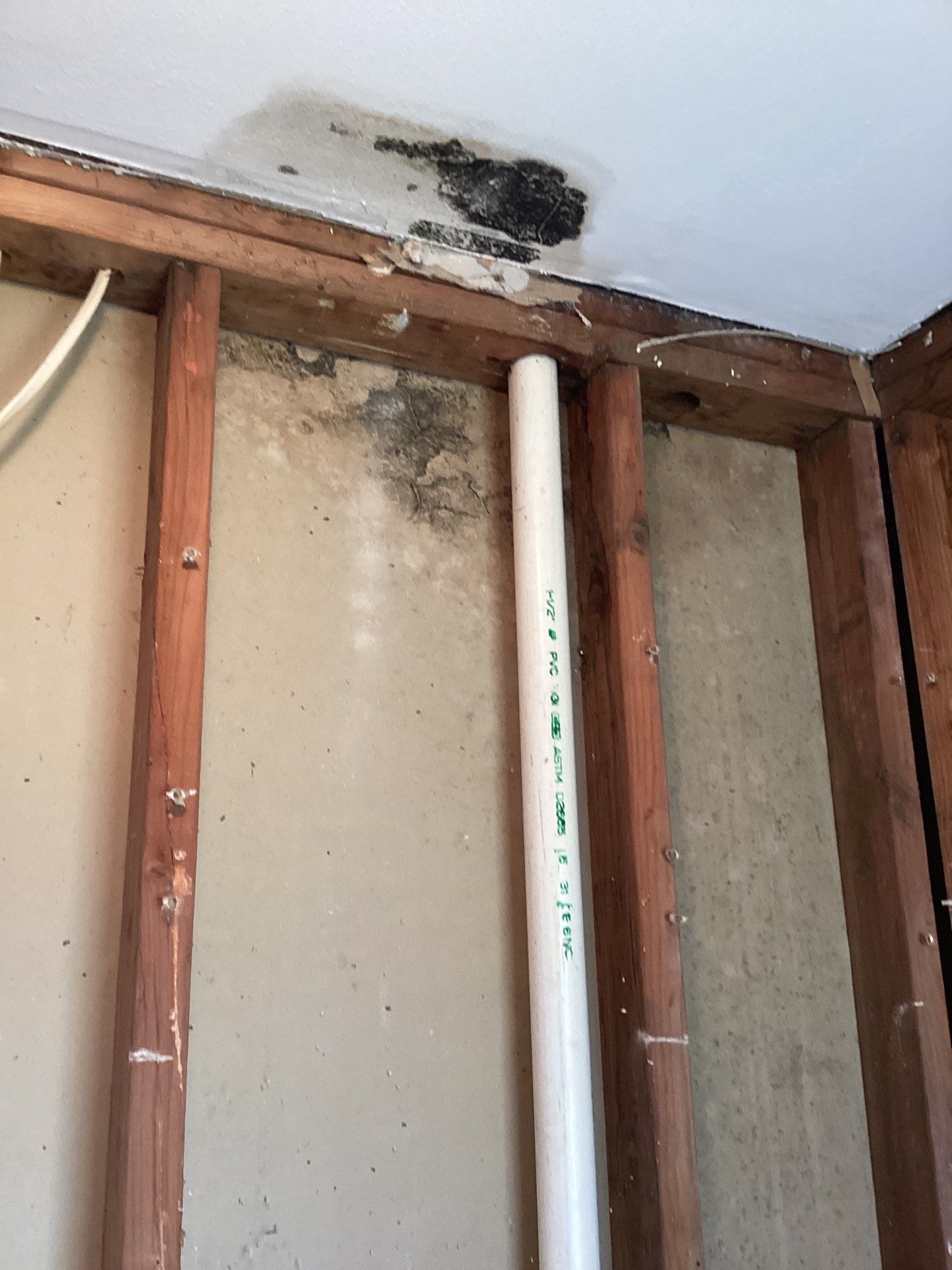 Mold Remediation and Water Damage Repair in Stonybrook, NY by Newhouse Restoration