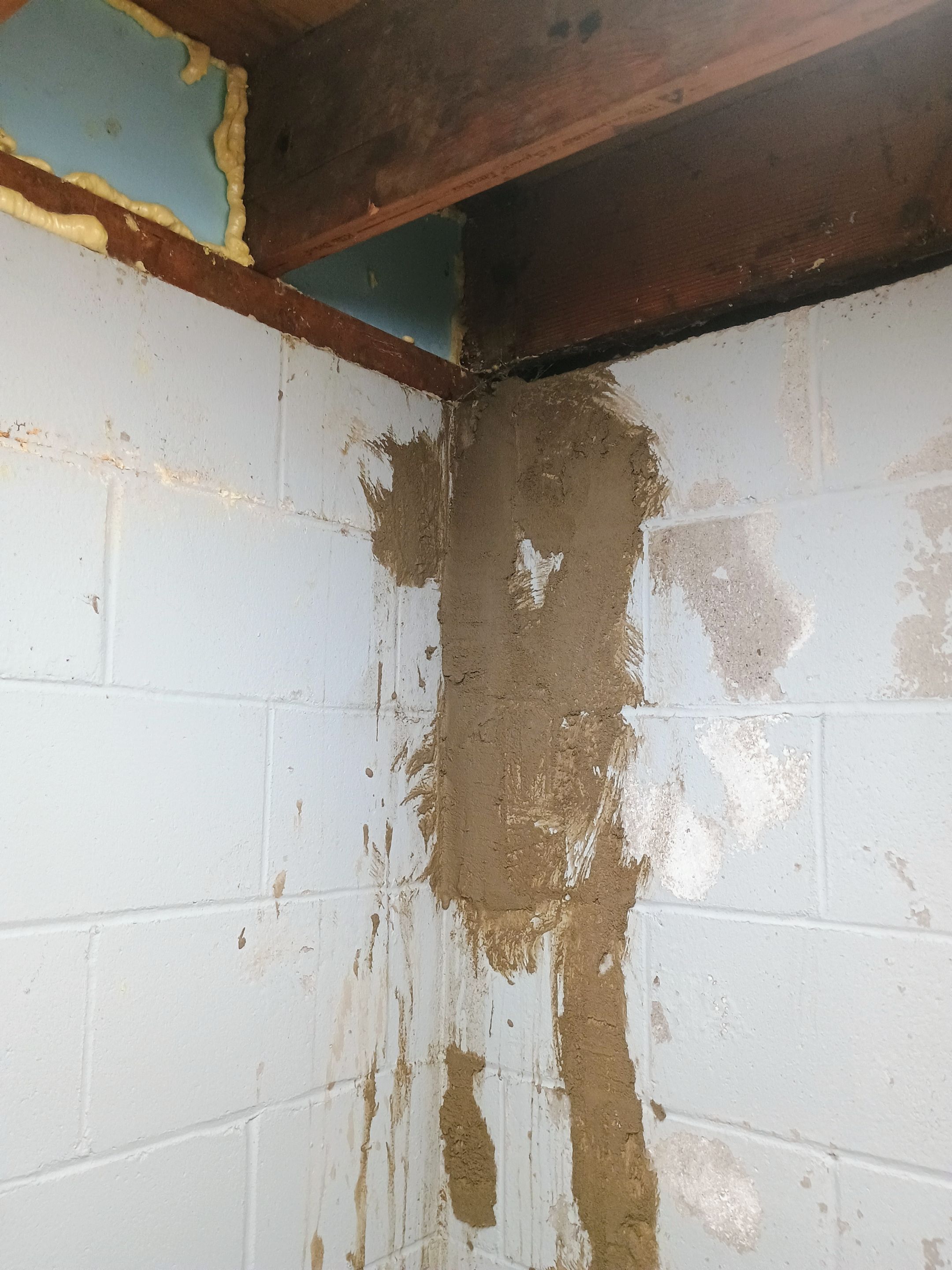 Depressurizing Denny's Basement Wall by Waterproofing Northeast