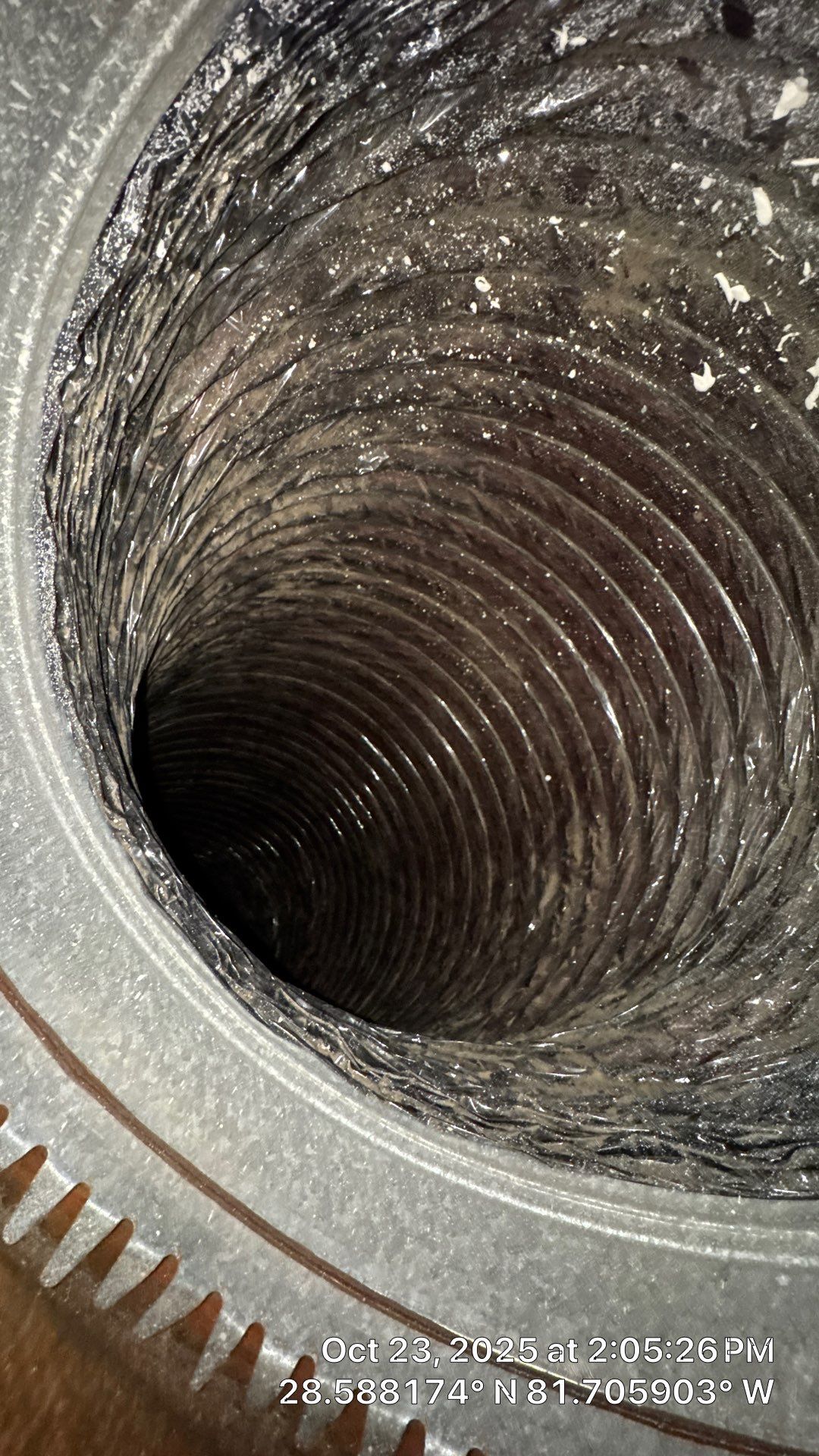 AIr Duct and Dryer Vent Cleaning in Montverde by Hygienic Air, Inc