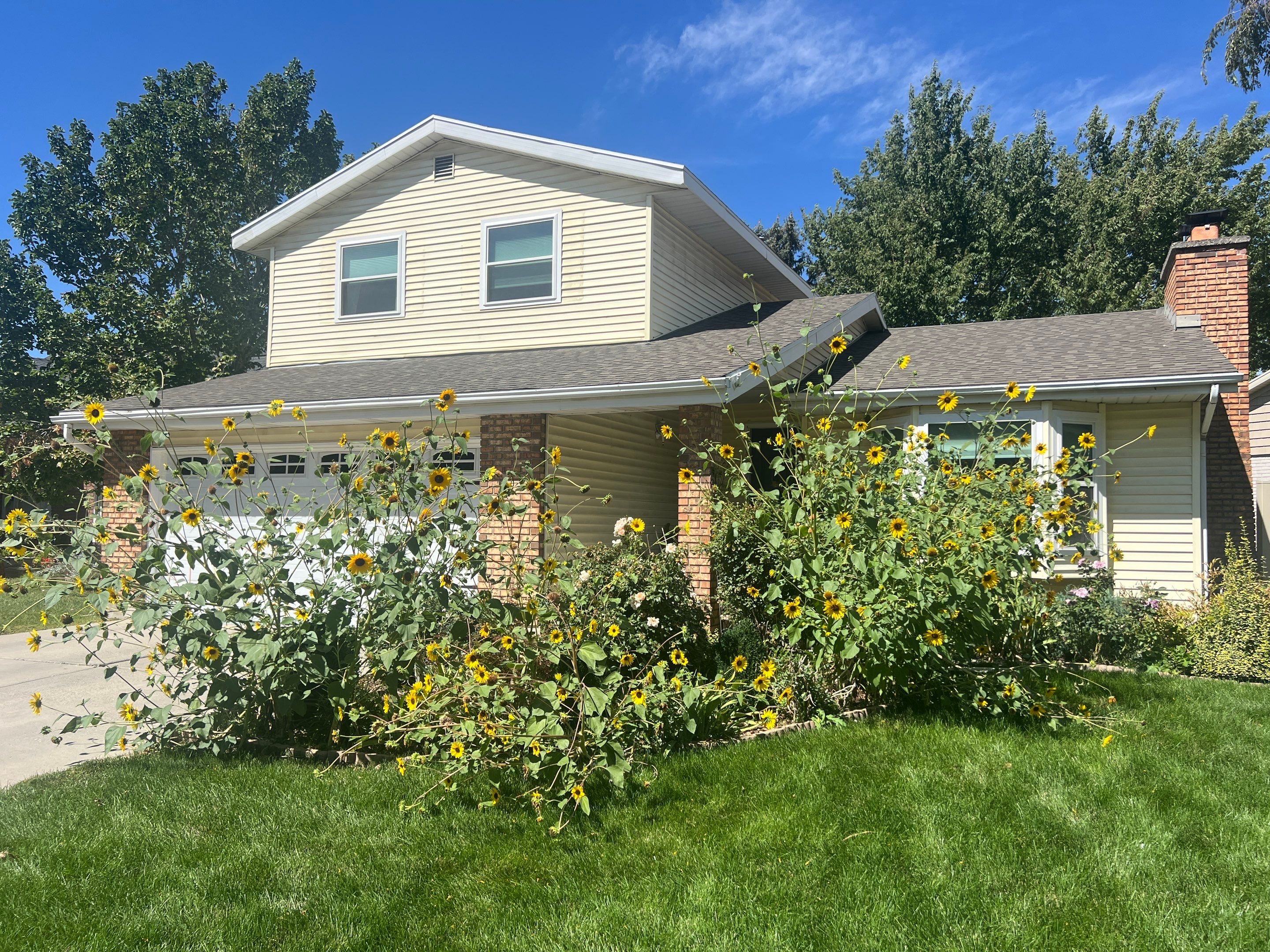 Salt Lake City | James Hardie Lap Siding | Pearl Gray by Ideal Siding Utah