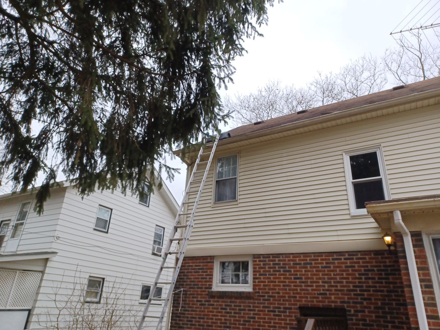 Scott Killy 1743 by Silver Leaf Contracting 