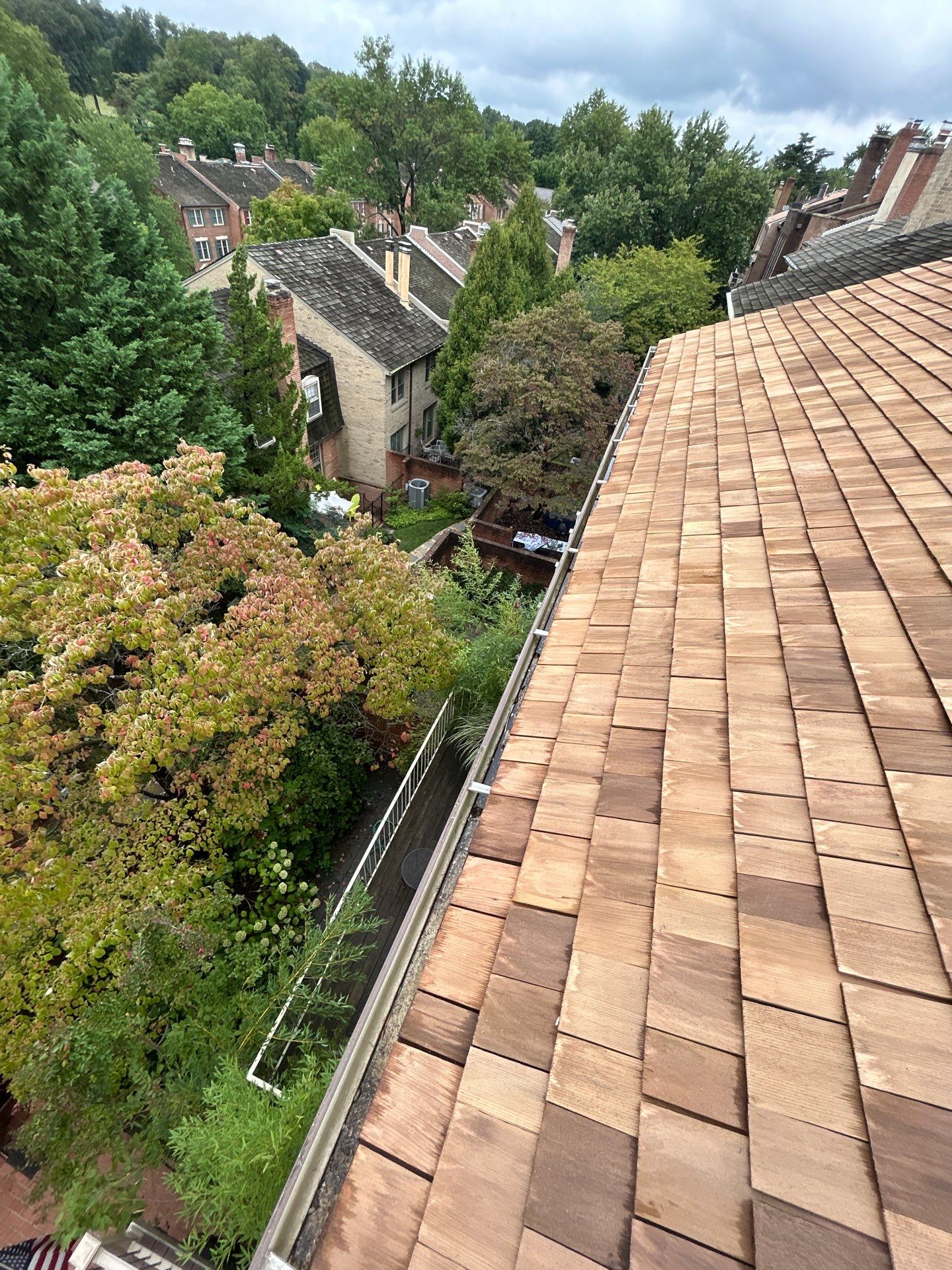 Arlington: Residential Roof Replacement with Perfection CCA-Treated Cedar Shakes by RM Banning, Inc.