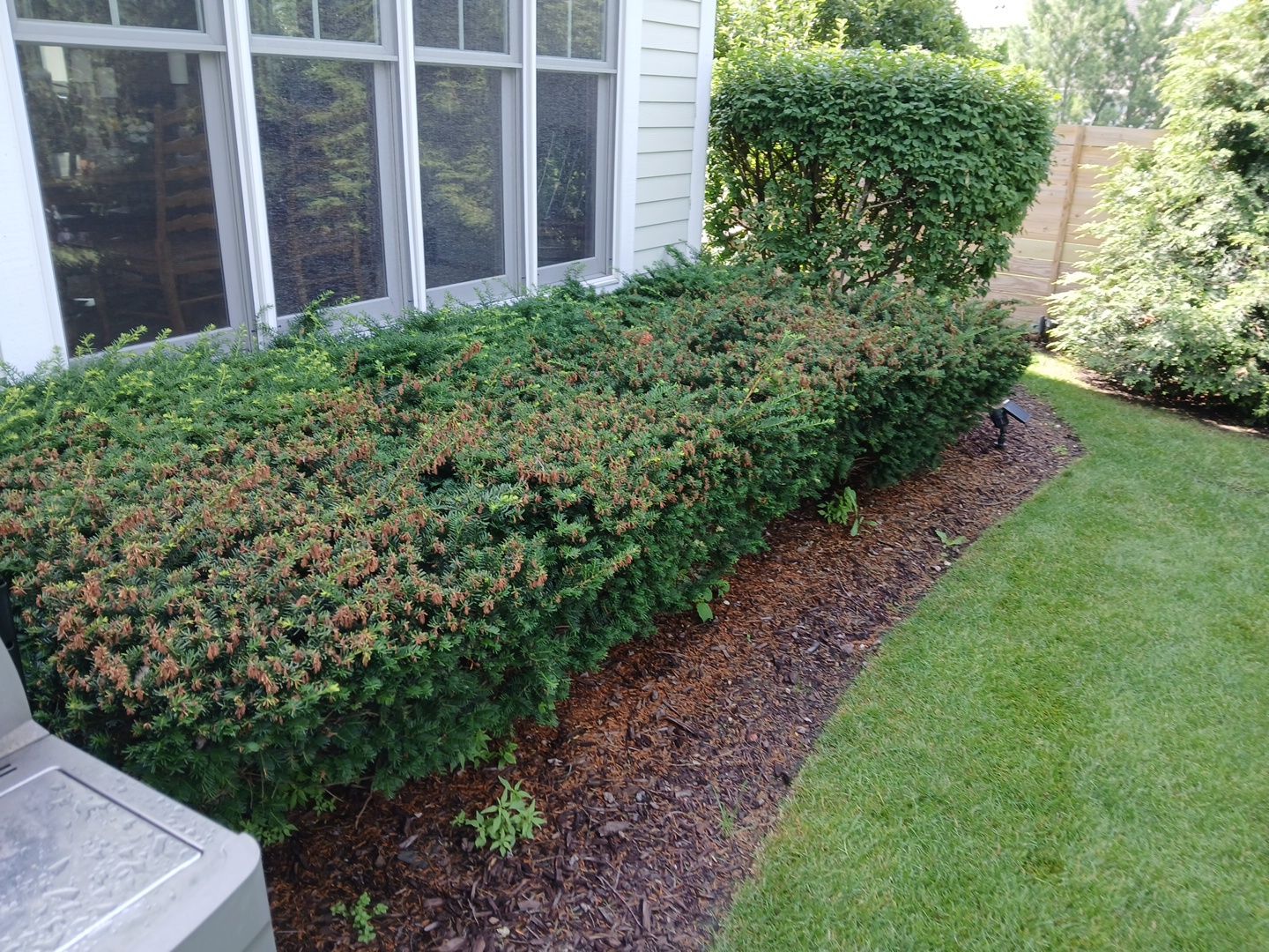 Lisa C. - Arlington Heights, IL by A&N
