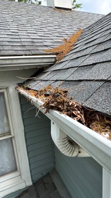 Turtle Shell gutter protection installation in Naperville, IL 60563, photograph 9