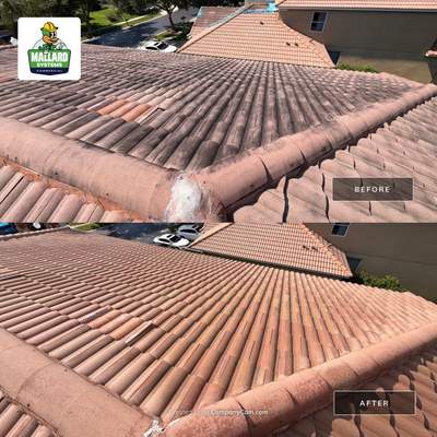 Roof Cleaning