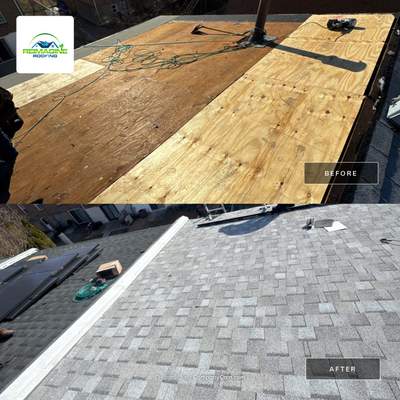 Silver Birch Shingles