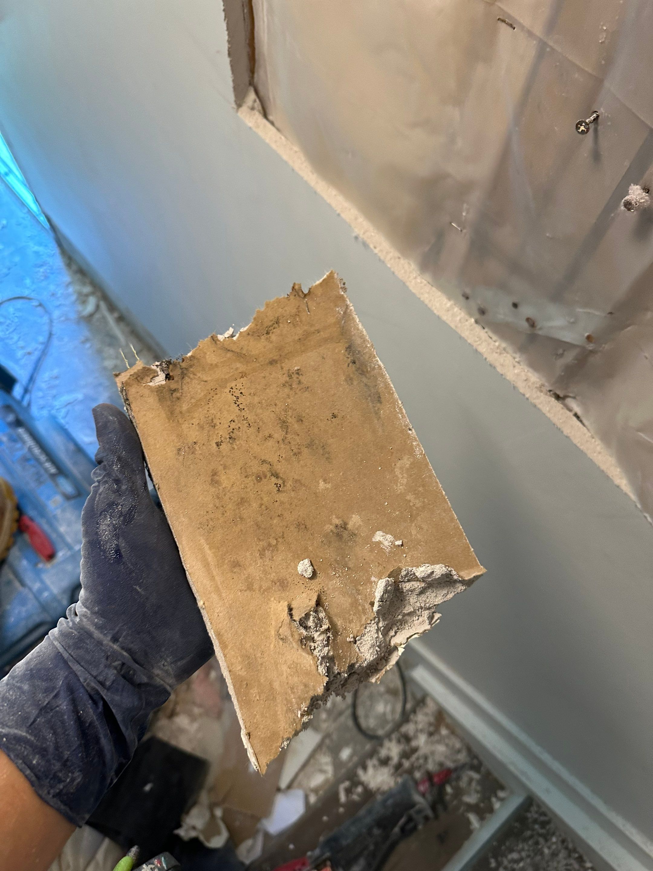 Water Damage in Denver, CO by Alpha Restoration 