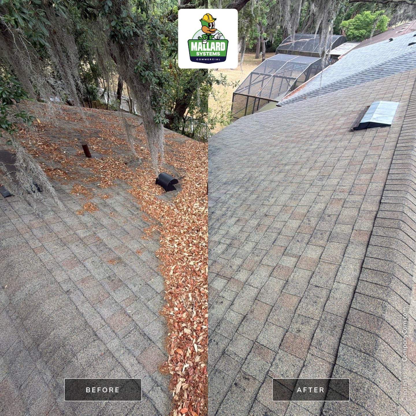 Shingle Roof Cleaning and Roof Debris Removal by Mallard Systems
