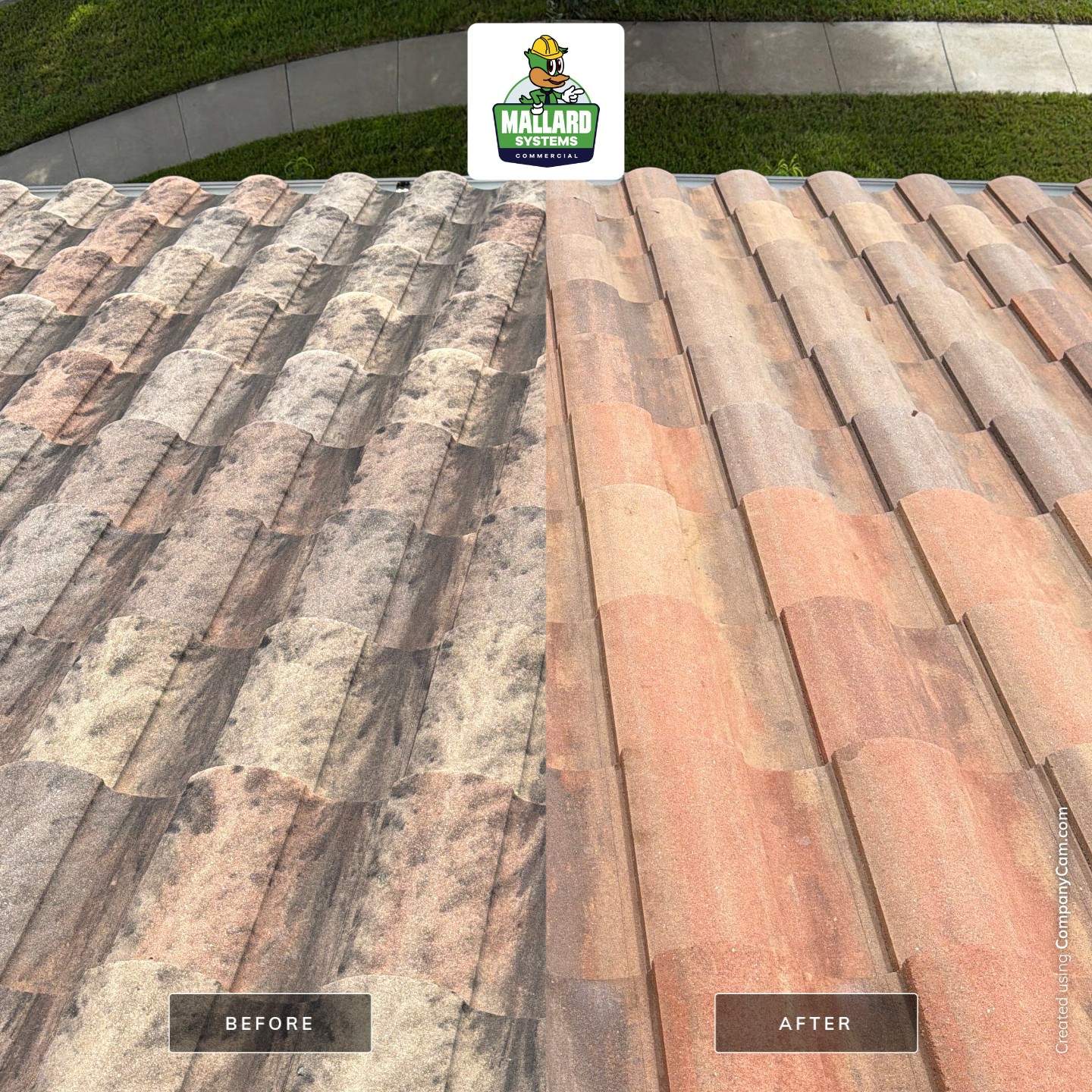 Tile Roof and Concrete Cleaning in Gotha by Mallard Systems