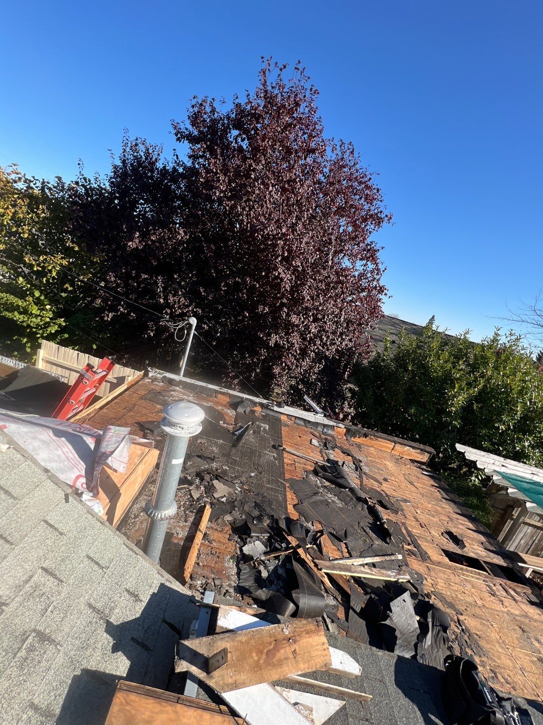 Residential Roof Installation with Added Insulation Barrier  using Malarkey Vista AR Shingles (Color: Storm Grey) by Orezona Building & Roofing Company, Inc.