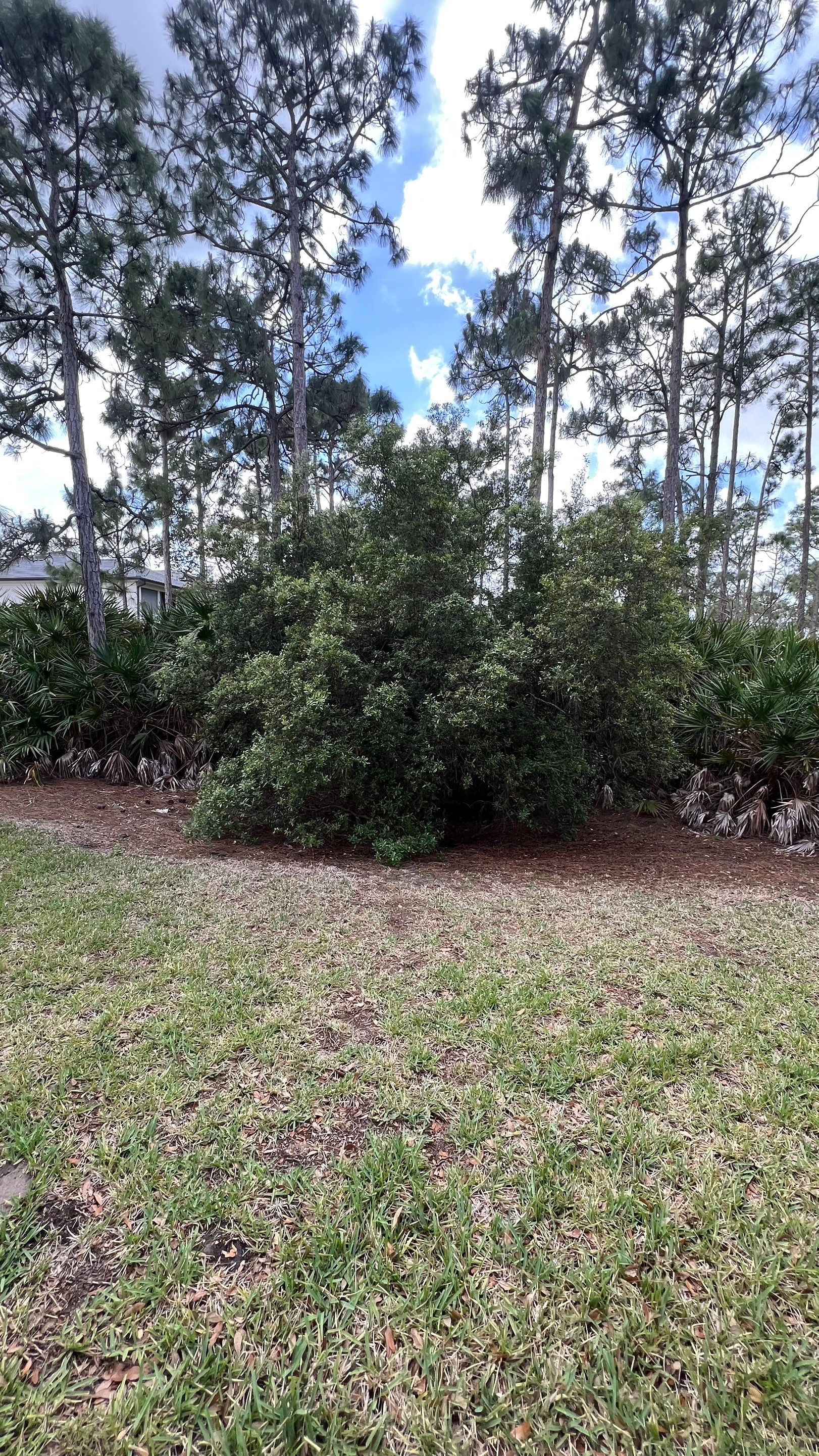 Estero Community Stormwater System Maintenance by APS Power & Water