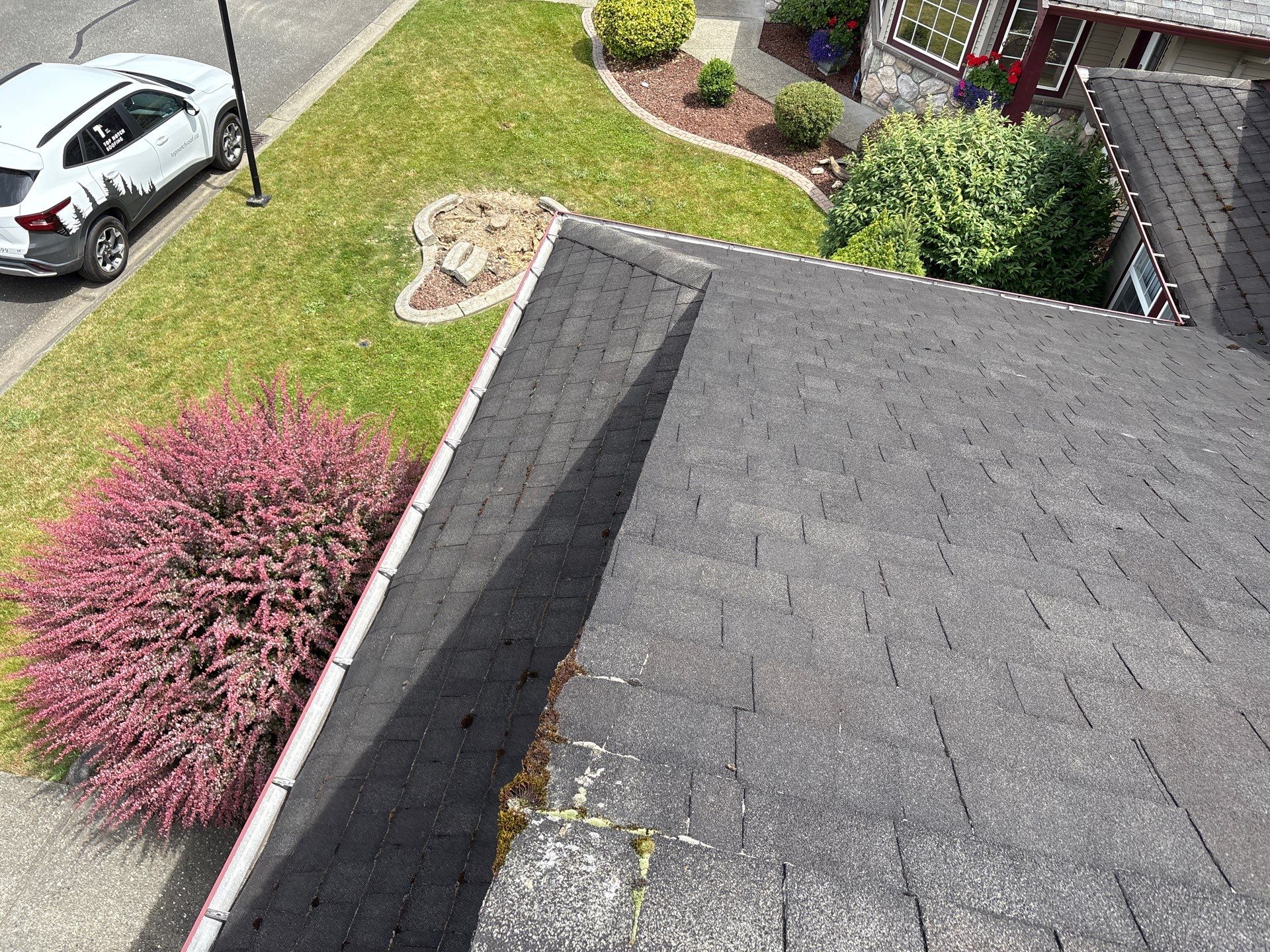 Residential Reroof Shingle - Pewter Grey by Top Notch Roofing Inc