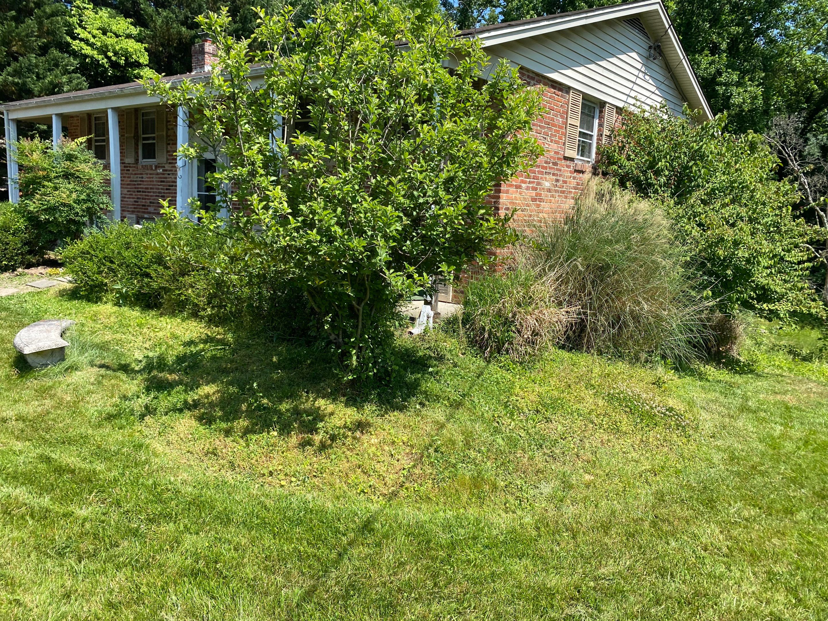Landscape cleanup by The Smet Companies, LLC