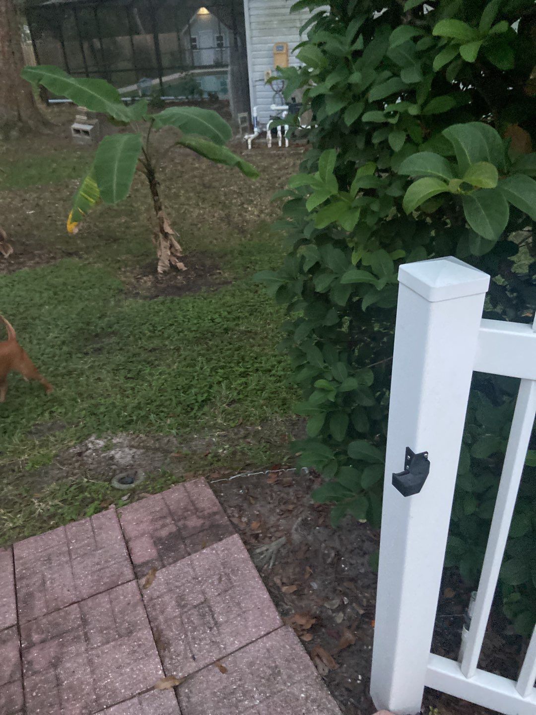 Bradenton, FL 4 ft. Tall 3-Rail Black Aluminum Fence by Asap fence and gates, LLC