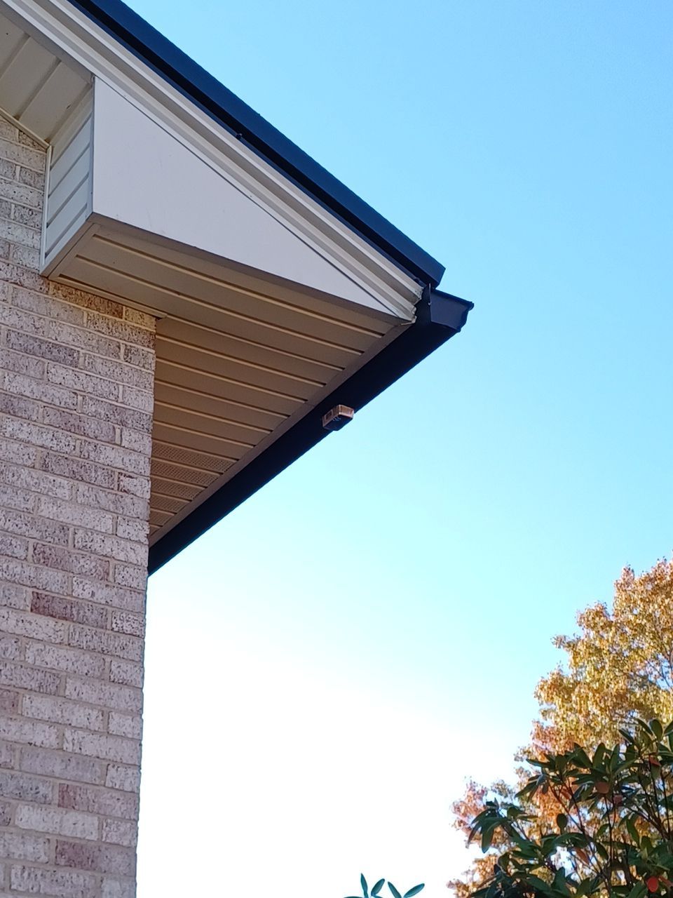 Steve Lewis by Silver Leaf Contracting 