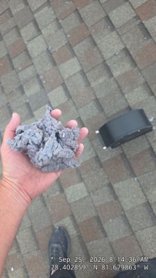 Dryer Vent Cleaning & Lint Collection in Clermont