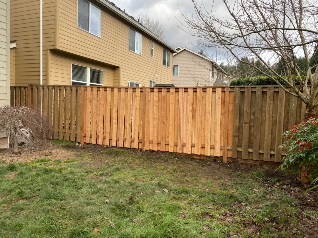 Fence Repair by Paul Schopp