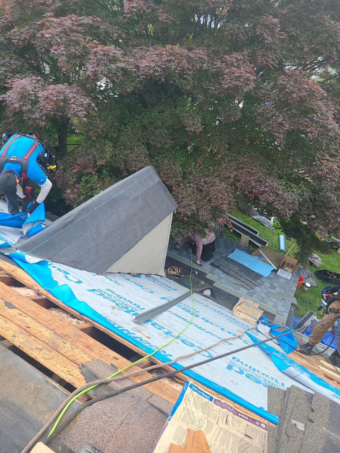 Falls Church: CertainTeed Landmark Pro Designer Shingles in Max Def Pewter by RM Banning, Inc.