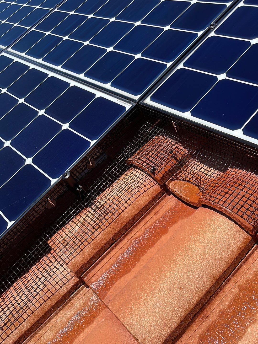 Solar Panel Bird Proofing using Critter Guard Mesh by All One Solar Shine