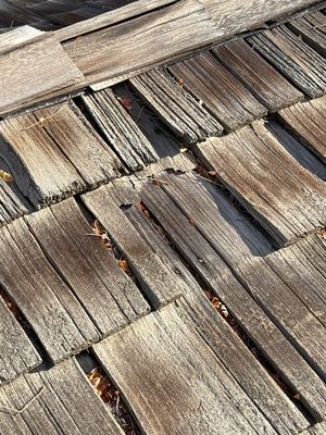 Project in Centennial