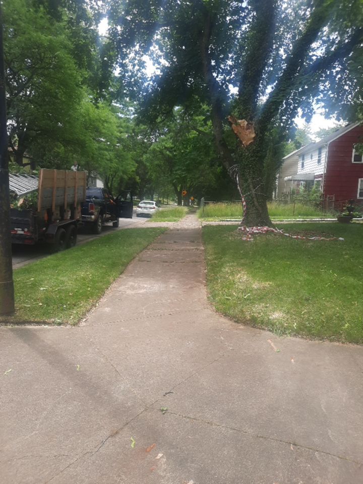 Storm Damaged Tree Removal  using Tree Removal by Mike Jones & Sons Tree Service LLC 