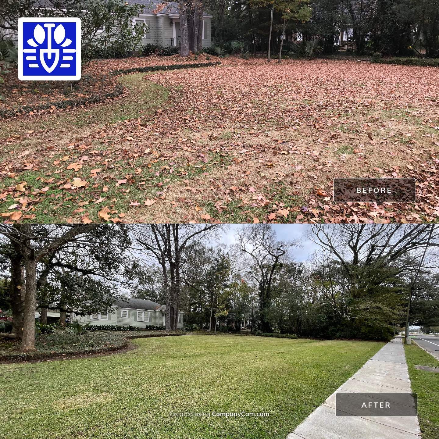 WINTER SERVICES: FULL LEAF JOB by CutScape, LLC.