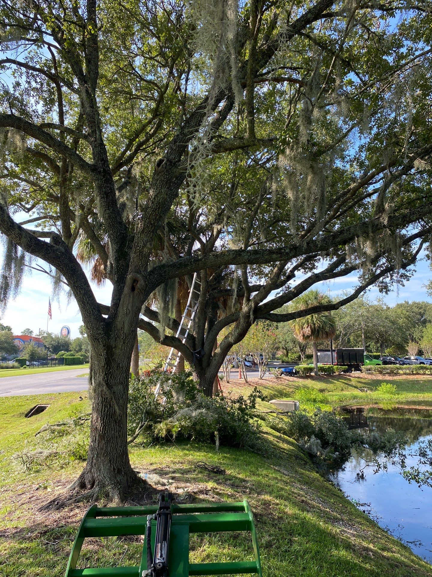 Tree & Shrub Removal | Marriott Hotel by ProGreen Services