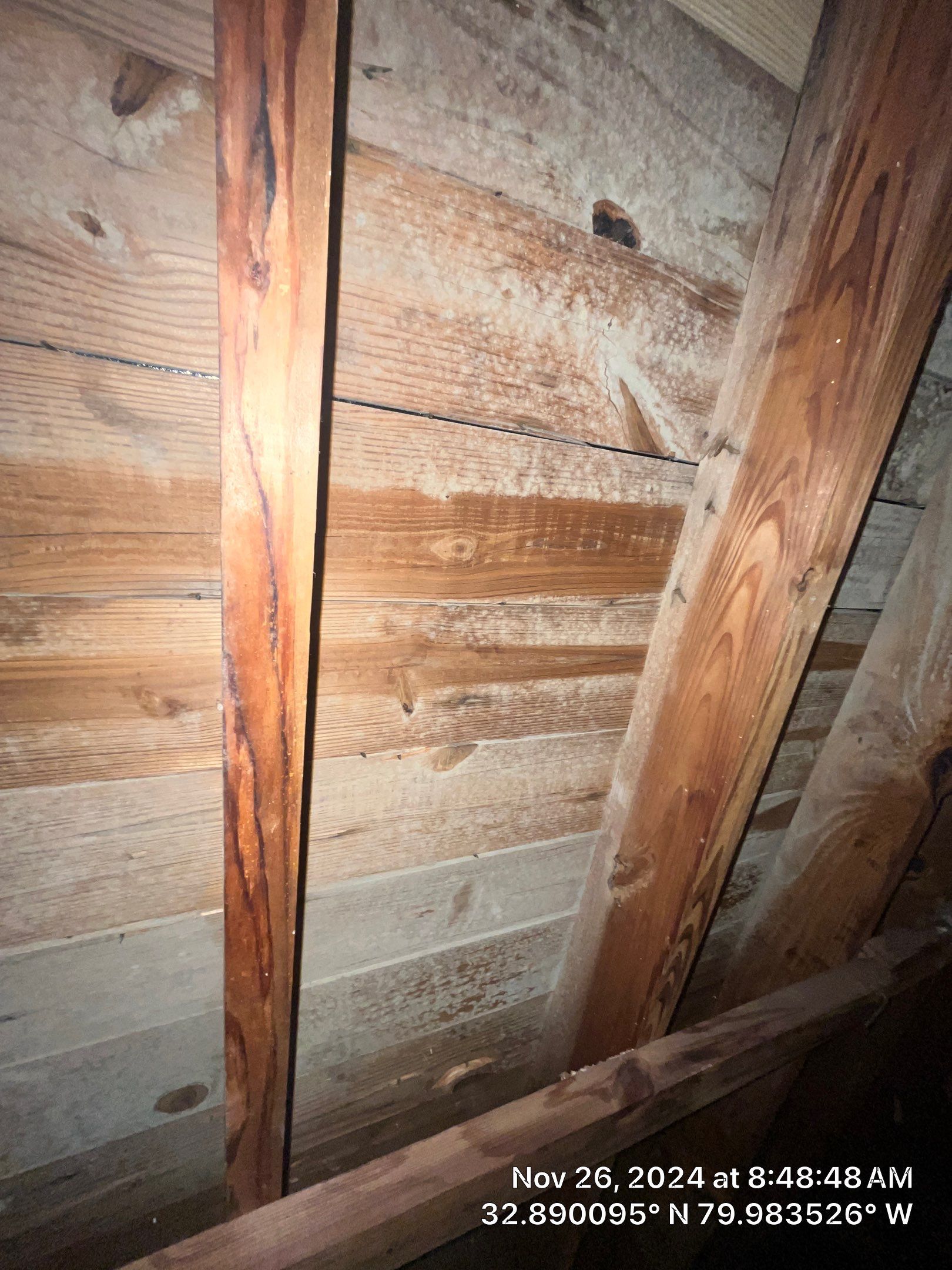 Limited Mold Remediation by EAS Environmental, LLC.