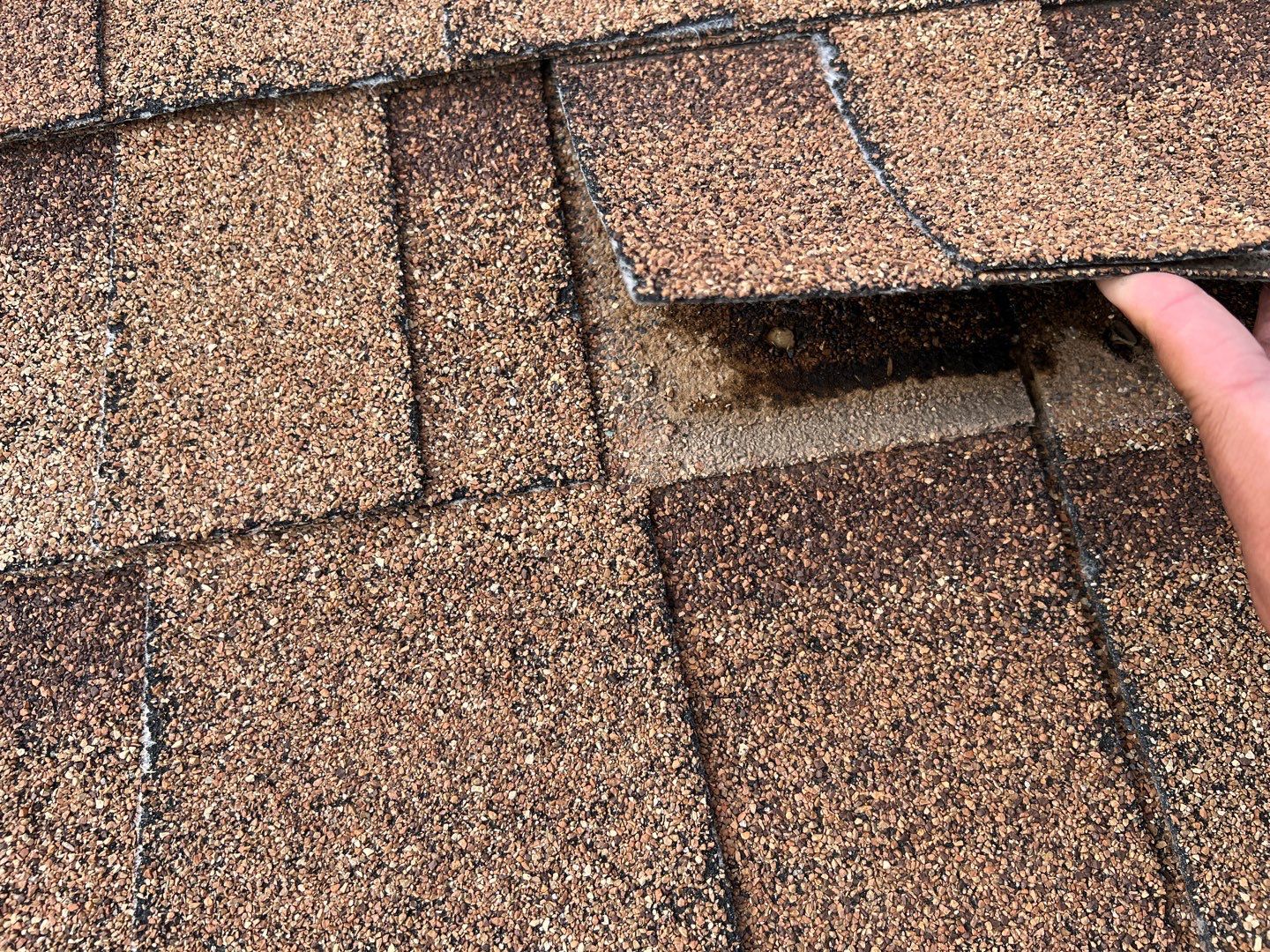 Jenna's Re-Roof and Ridge Vents by All Storm Roofing & Construction