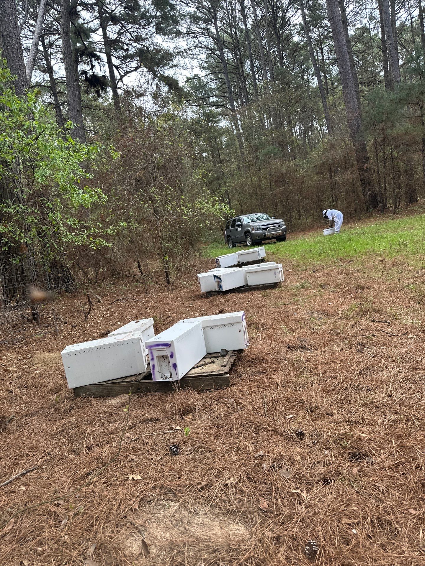 Tree Farm Apiary by Rockwall Honey Bee Company