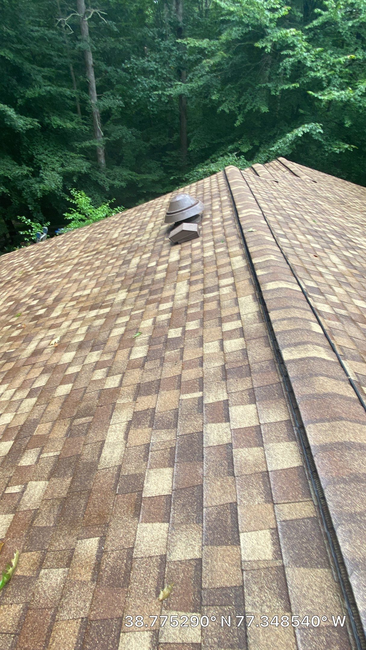 Fairfax Station: CertainTeed Landmark Pro Designer Shingles in Max Def Resawn Shake by RM Banning, Inc.