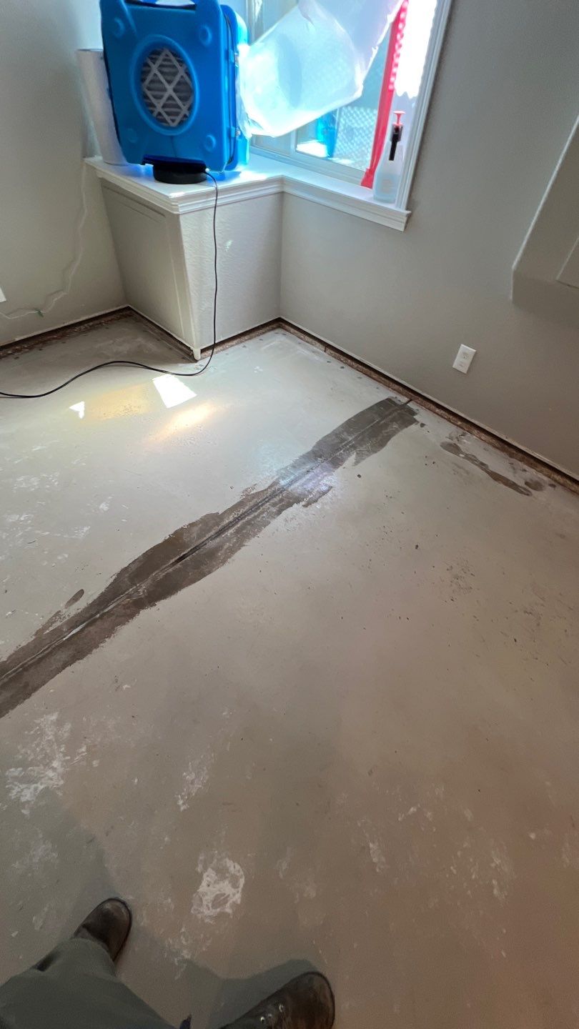 Mold Remediation  by Accountable Home Services