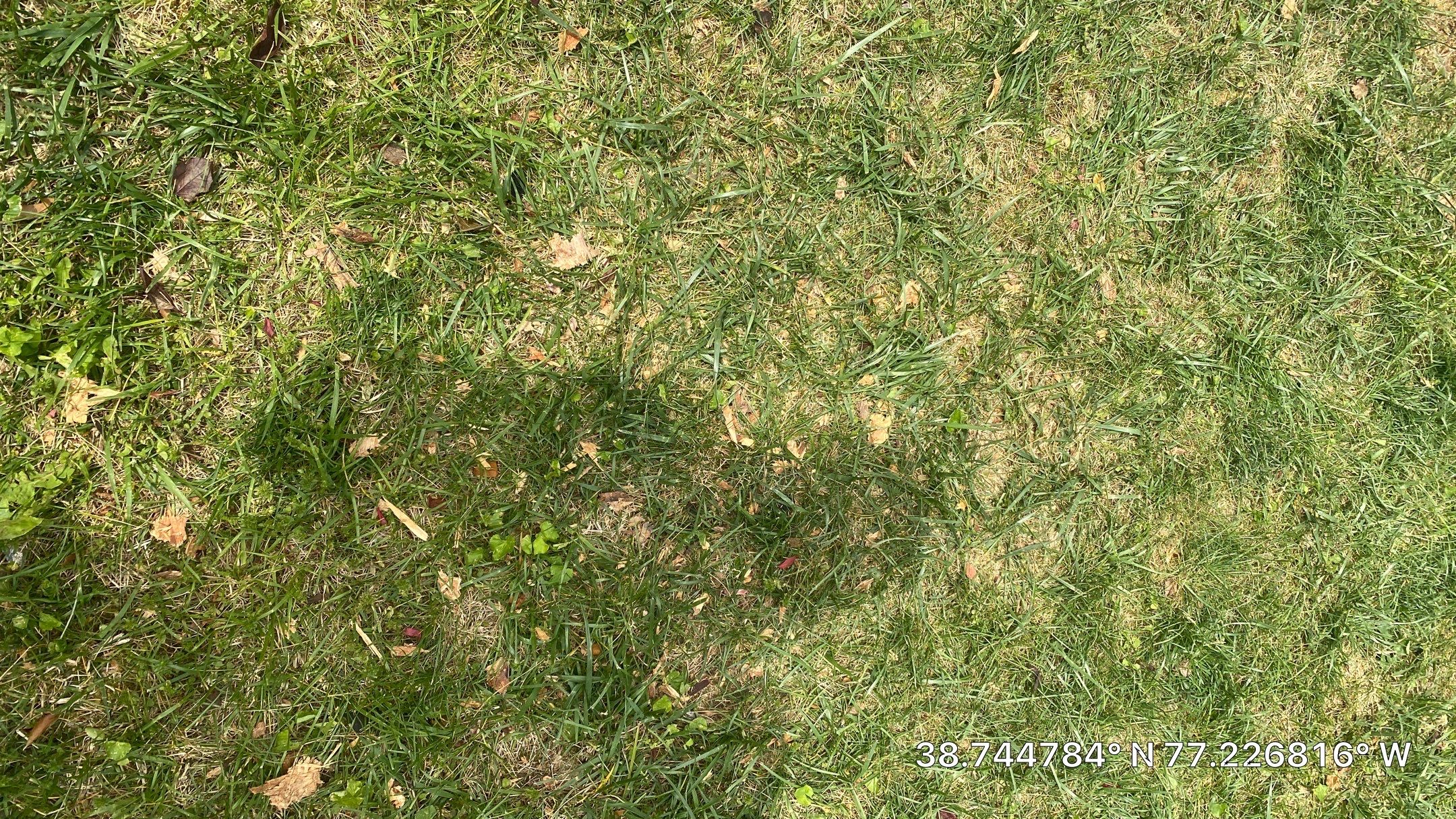 Springfield: CertainTeed Landmark Pro Designer Shingles in Max Def Charcoal Black by RM Banning, Inc.