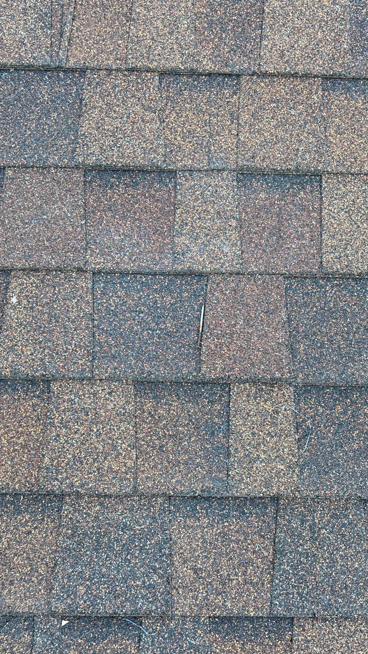 Siding Replacement using Alside Charter Oak D4.5" by 180 Contractors