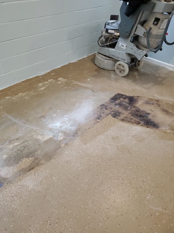 Kennel Floor Coating and Wall Painting using Penntek by Spectrum Painting, LLC
