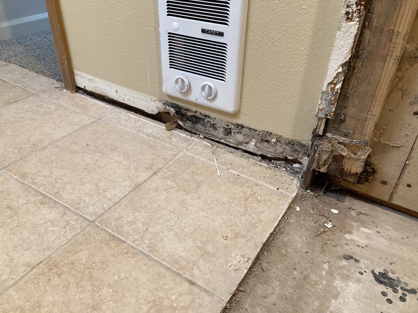 Mold Remediation by Accountable Home Services